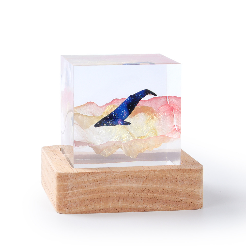 5 سنتيمتر مكعب الكائن الراتنج  - مراجعة Resin Art Cube وسعره